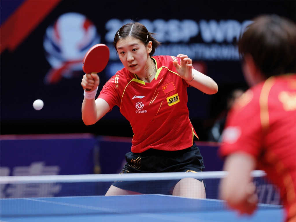 教练都可能 教练都可能